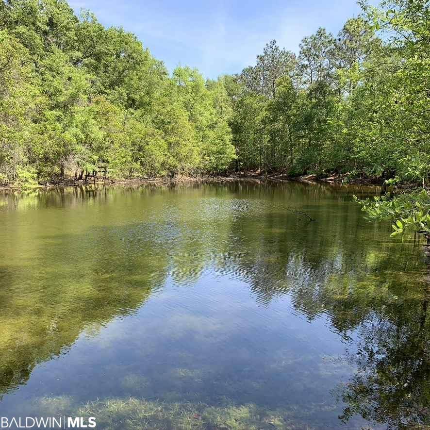 0 Old Brady Road, Elsanor, AL 36567