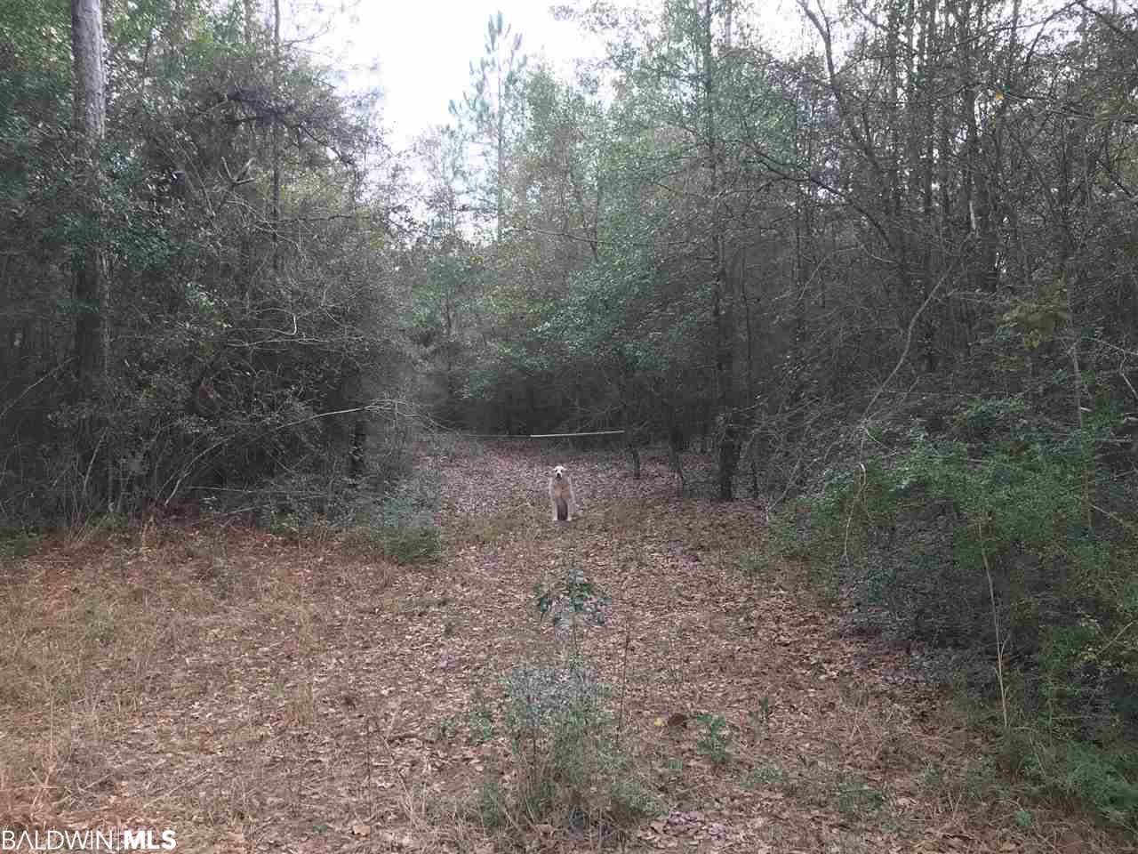 0 County Road 26, Elberta, AL 36530