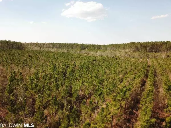 Deer Park, AL 36529-6801,0 Highway 17