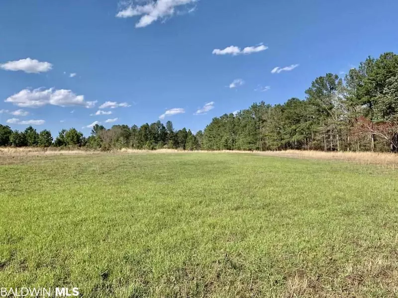 0 Highway 17, Deer Park, AL 36529-6801