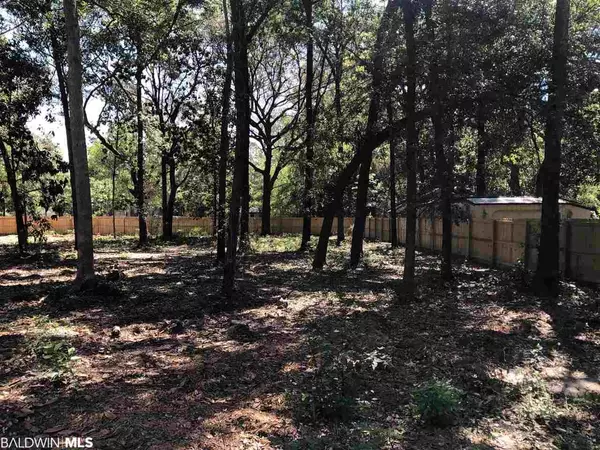 Lillian, AL 36549,12930 Lot 10 7th Street