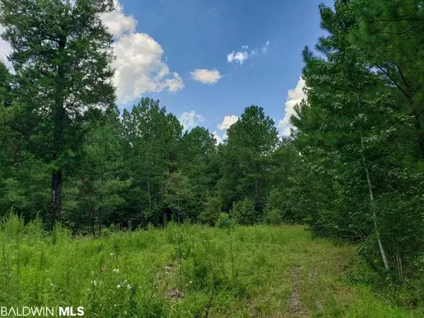 0 Country Road, Vinegar Bend, AL 36584-6406