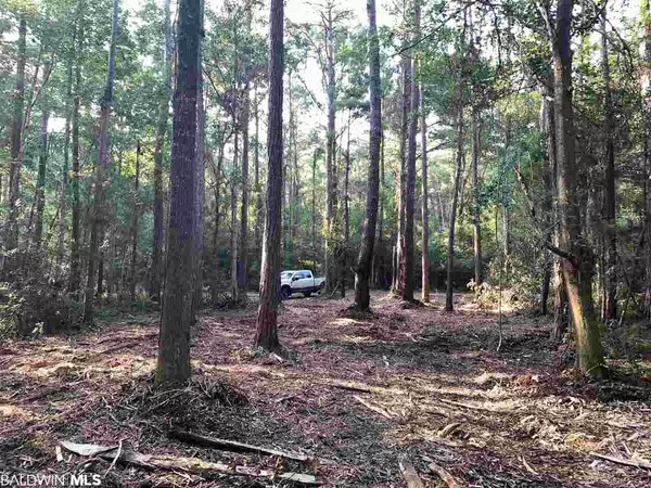 Foley, AL 36535,0 Baudin Lane