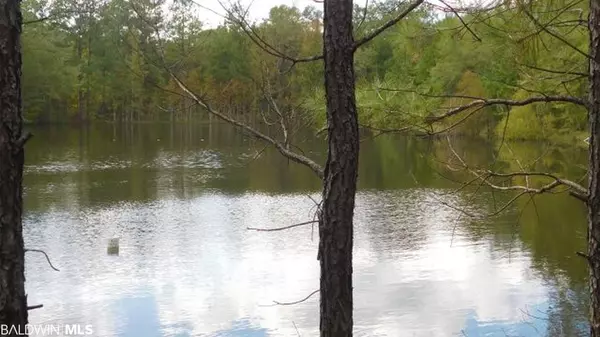 Repton, AL 36502,10500 Blk Old Stage Road