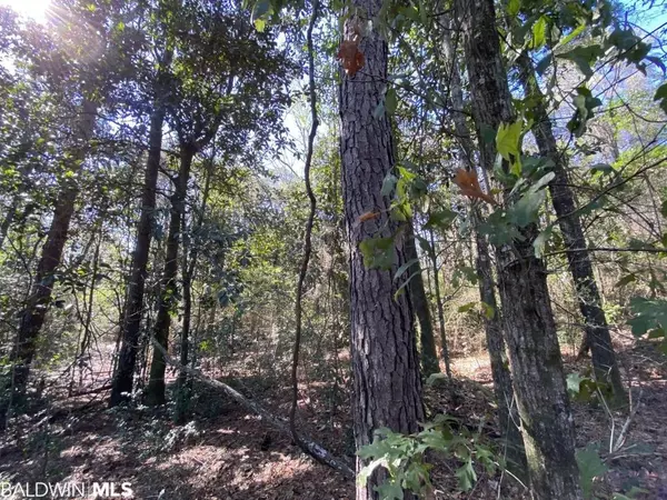 0 Moffett Road, Semmes, AL 36575-5401