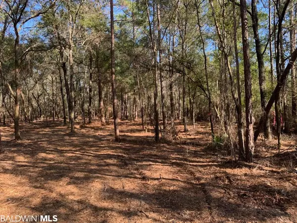 Robertsdale, AL 36567,0 Forest View Lane