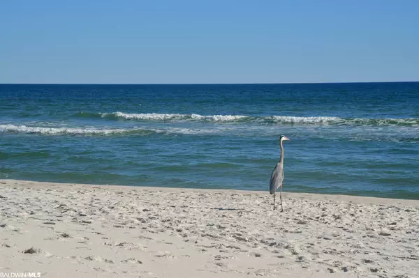 Gulf Shores, AL 36542,0 Lagoon Circle