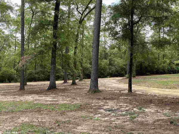 Brewton, AL 36426,376 Tippens Eddy Road