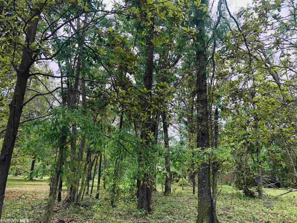 Foley, AL 36535,13911 County Road 49