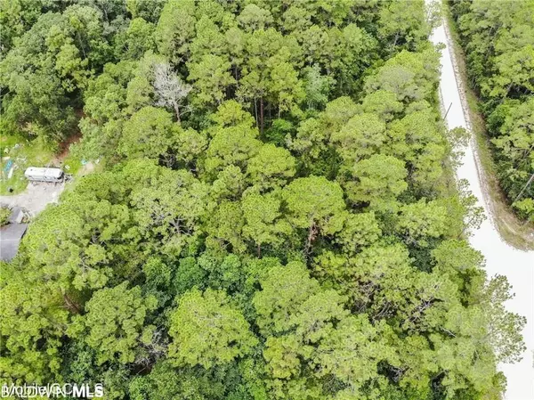 0 Bass Drive, Theodore, AL 36582