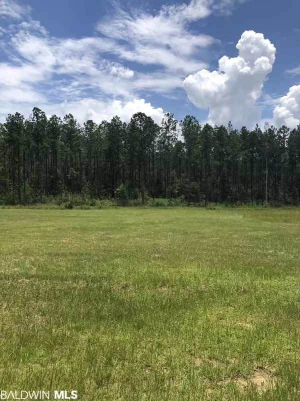 Deer Park, AL 36529,0 Bud Odom Road