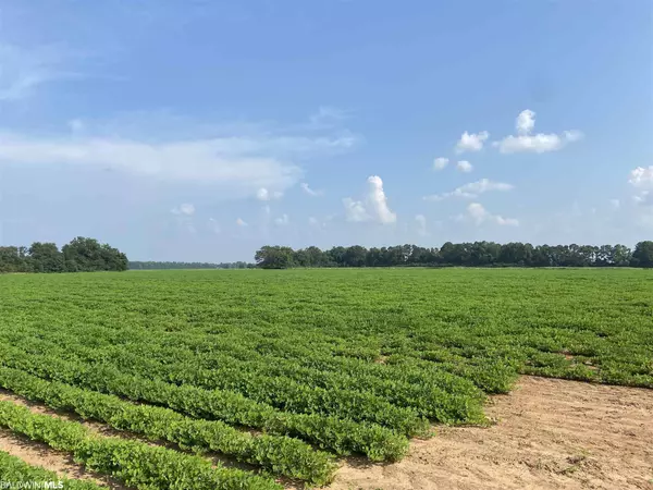 Atmore, AL 36502,3100 Blk Highway 21