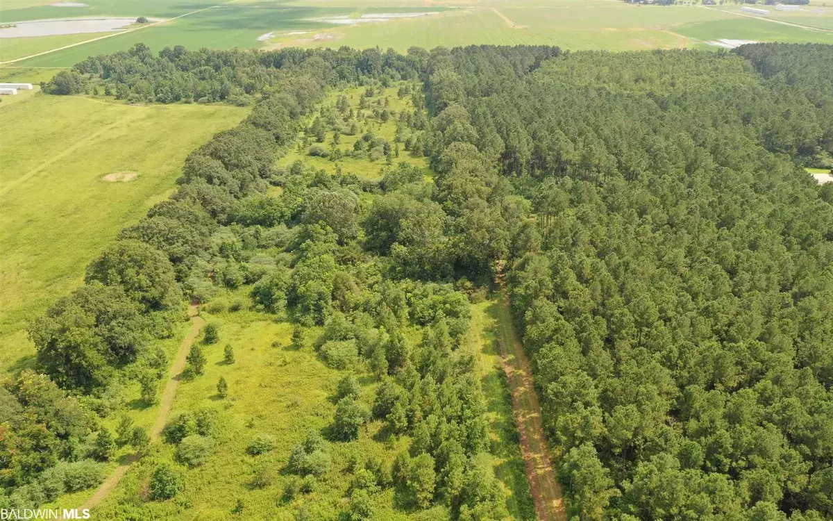 Atmore, AL 36502,00 Highway 31