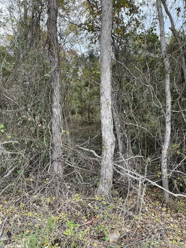 Atmore, AL 36502,0 Marshall Lane