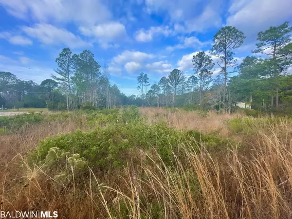 Coden, AL 36523,0 Dauphin Island Parkway