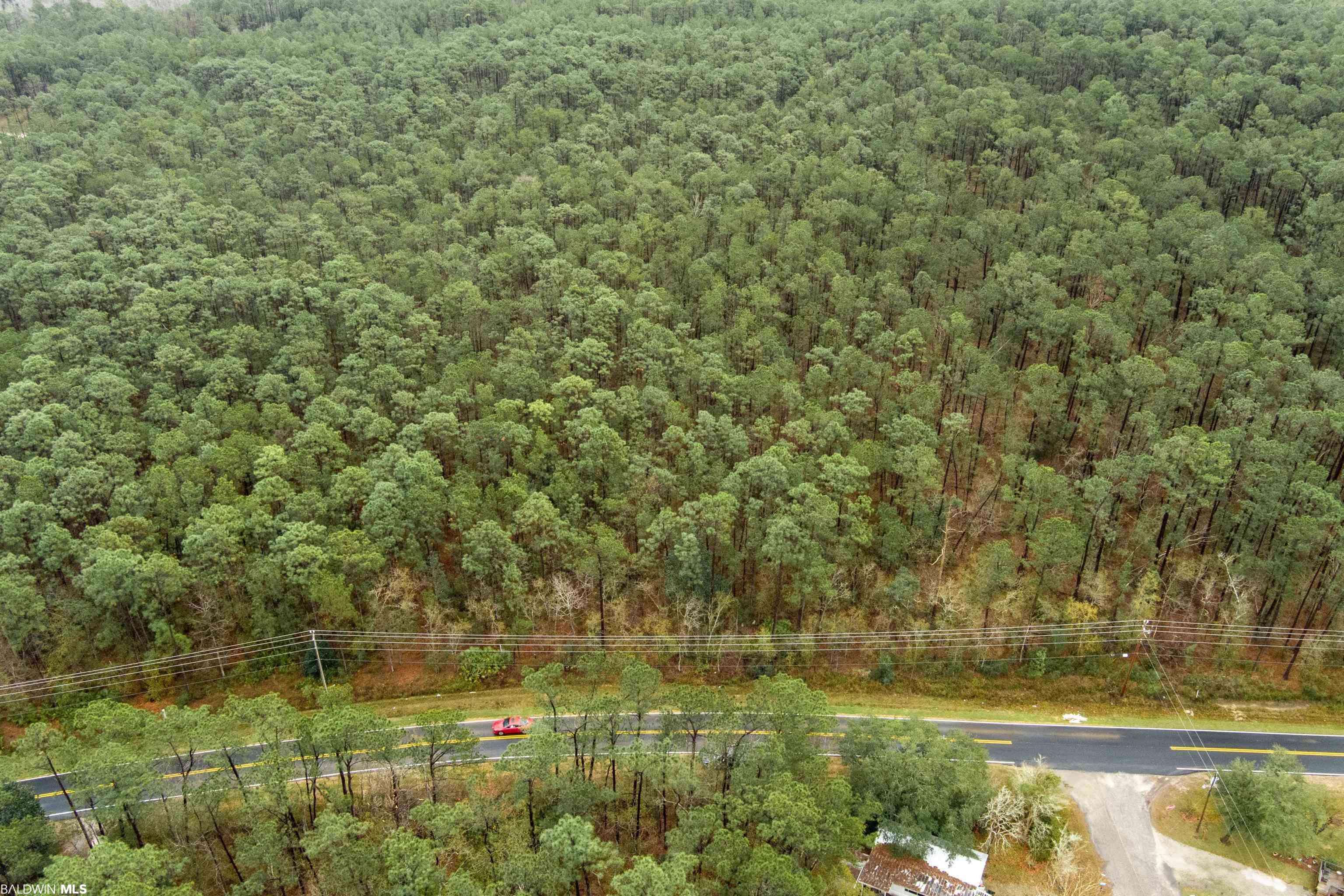 0 County Road 6, Gulf Shores, AL 36542