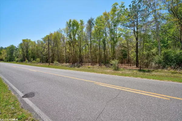 Bay Minette, AL 36507,44772 Phillipsville Road