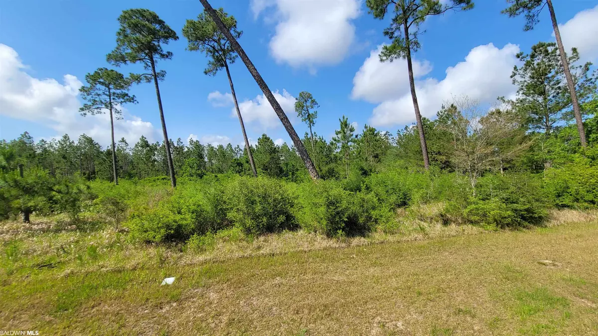 Elberta, AL 36530,000 Tall Timber Lane