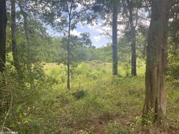 Mobile, AL 36618,0 Bear Fork Road