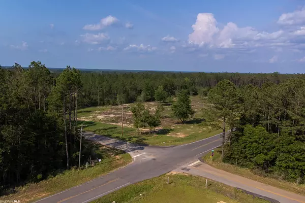 Elberta, AL 36530,00000 GaRoadner Road