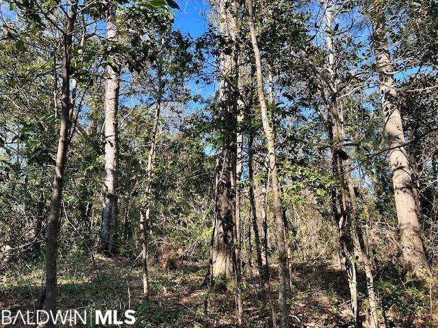 Citronelle, AL 36522,7940 Lebaron Avenue