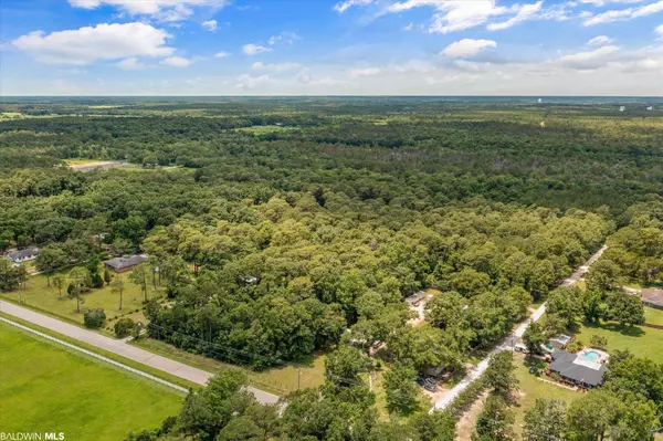 Theodore, AL 36582-0000,0 S Dauphin Island Parkway