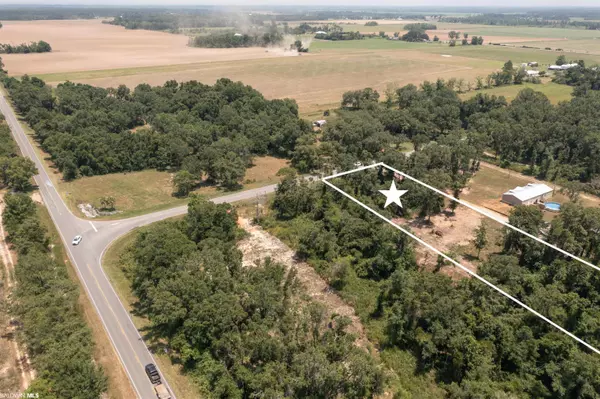 Elberta, AL 36530,LOT 4 County Road 95