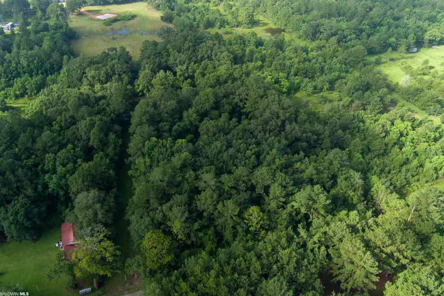 0 Grimsley  Road, Creola, AL 36525