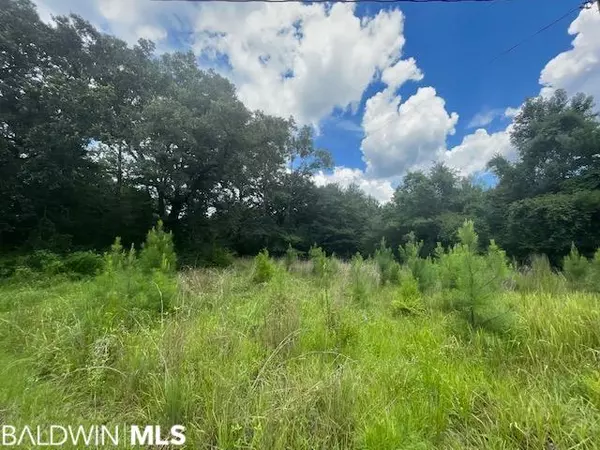 Axis, AL 36505,825 Williams Avenue