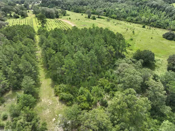 Citronelle, AL 36522,17995 S 3rd Street