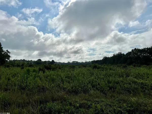 Atmore, AL 36502,3 N Sunset Drive