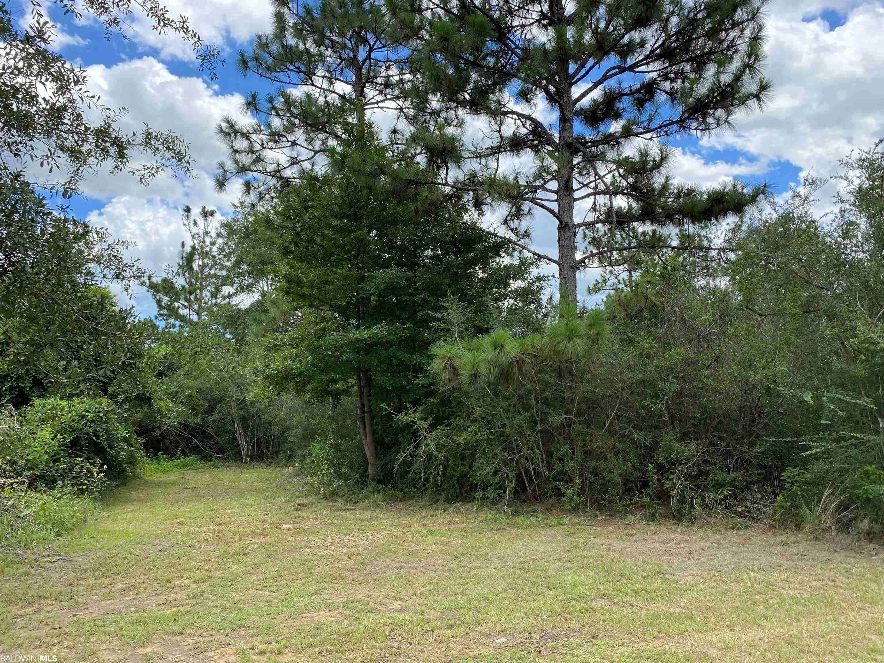 Seminole, AL 36574,19345 Vaughn Road
