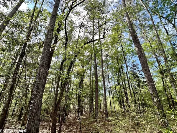 0 Broughton Road, Stockton, AL 36579