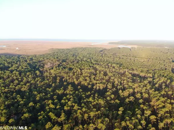 Coden, AL 36523,0 S Heron Bay Loop Road