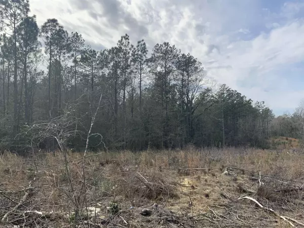 Little River, AL 36550,0 Buck Phillips Road
