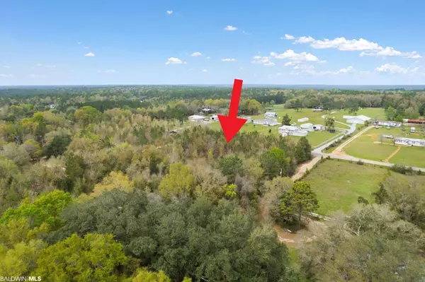 Seminole, AL 36574,0   (LOT #2) W Seminole Road