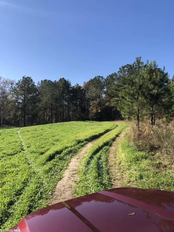 Range, AL 36473,1234 County Road 7