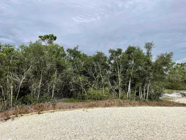 Orange Beach, AL 36561,Lot 140, 0 River Road