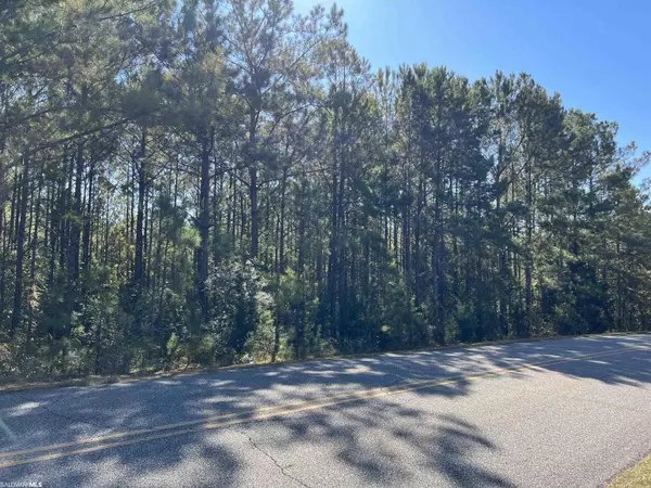 0 Lett Avenue, Monroeville, AL 36460