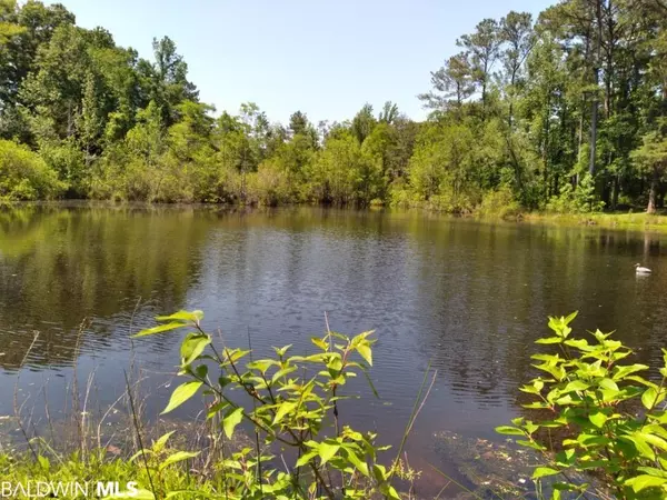 Castleberry, AL 36432,9 Pierce Lane