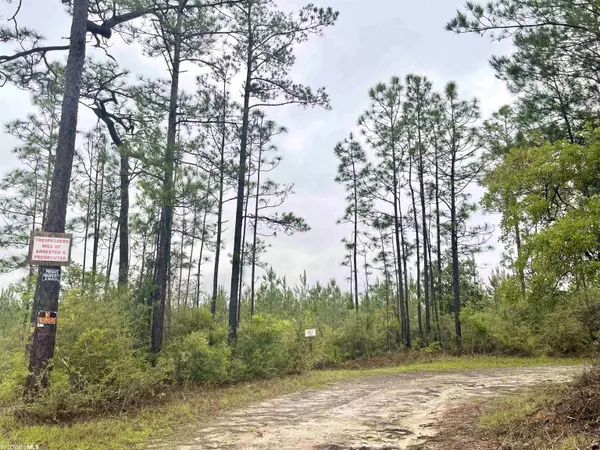 Robertsdale, AL 36567,0 Burbon Lane