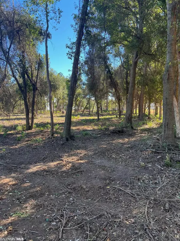 Magnolia Springs, AL 36555,0 Weeks Road