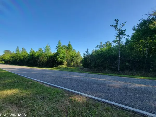 Bay Minette, AL 36507,00 Cliff's Landing Road