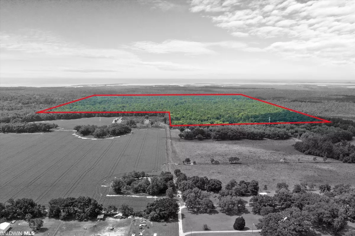 Grand Bay, AL 36541,0 Webb Avenue