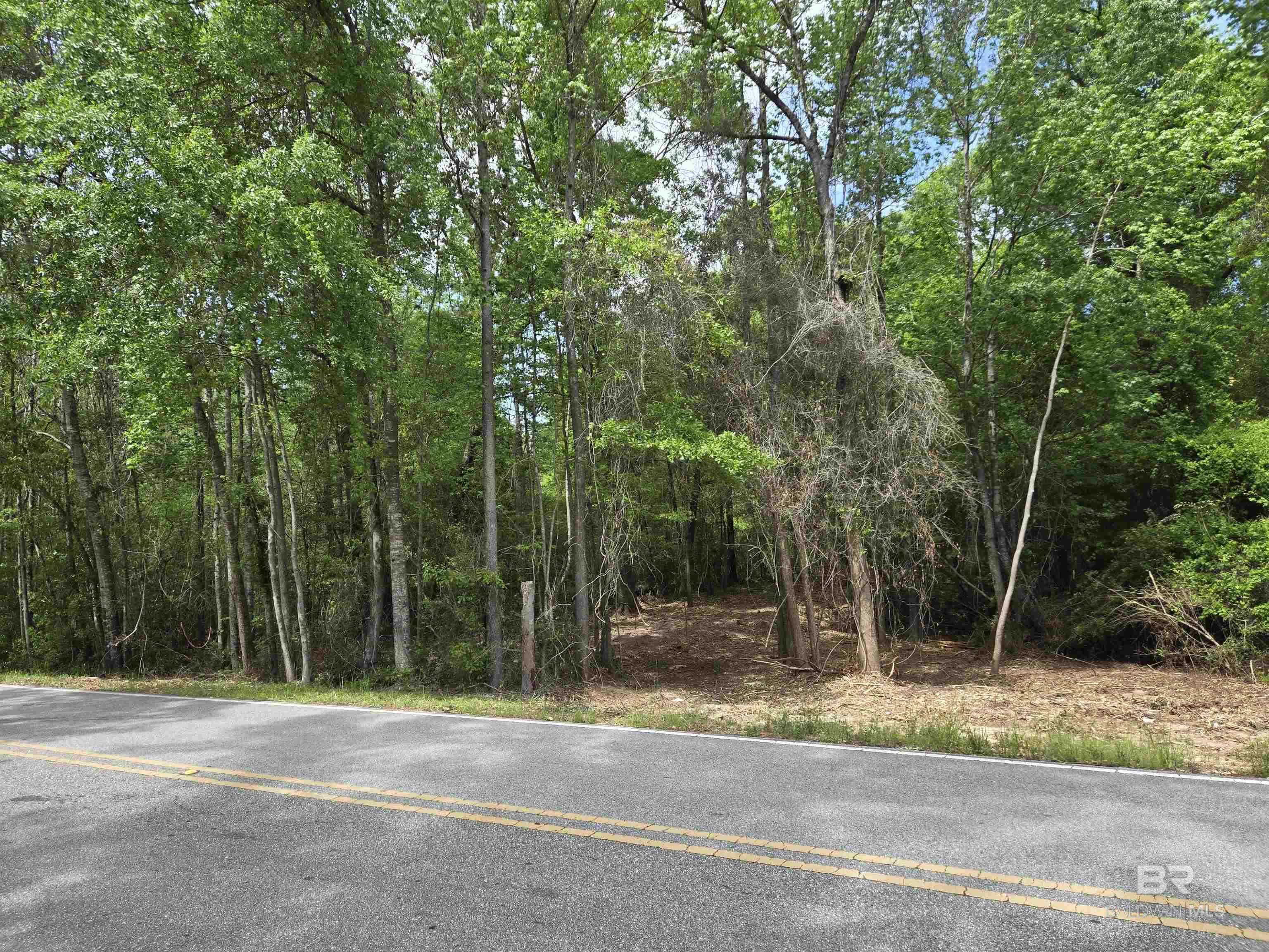 Flomaton, AL 36441,1131 Wolf Log Road