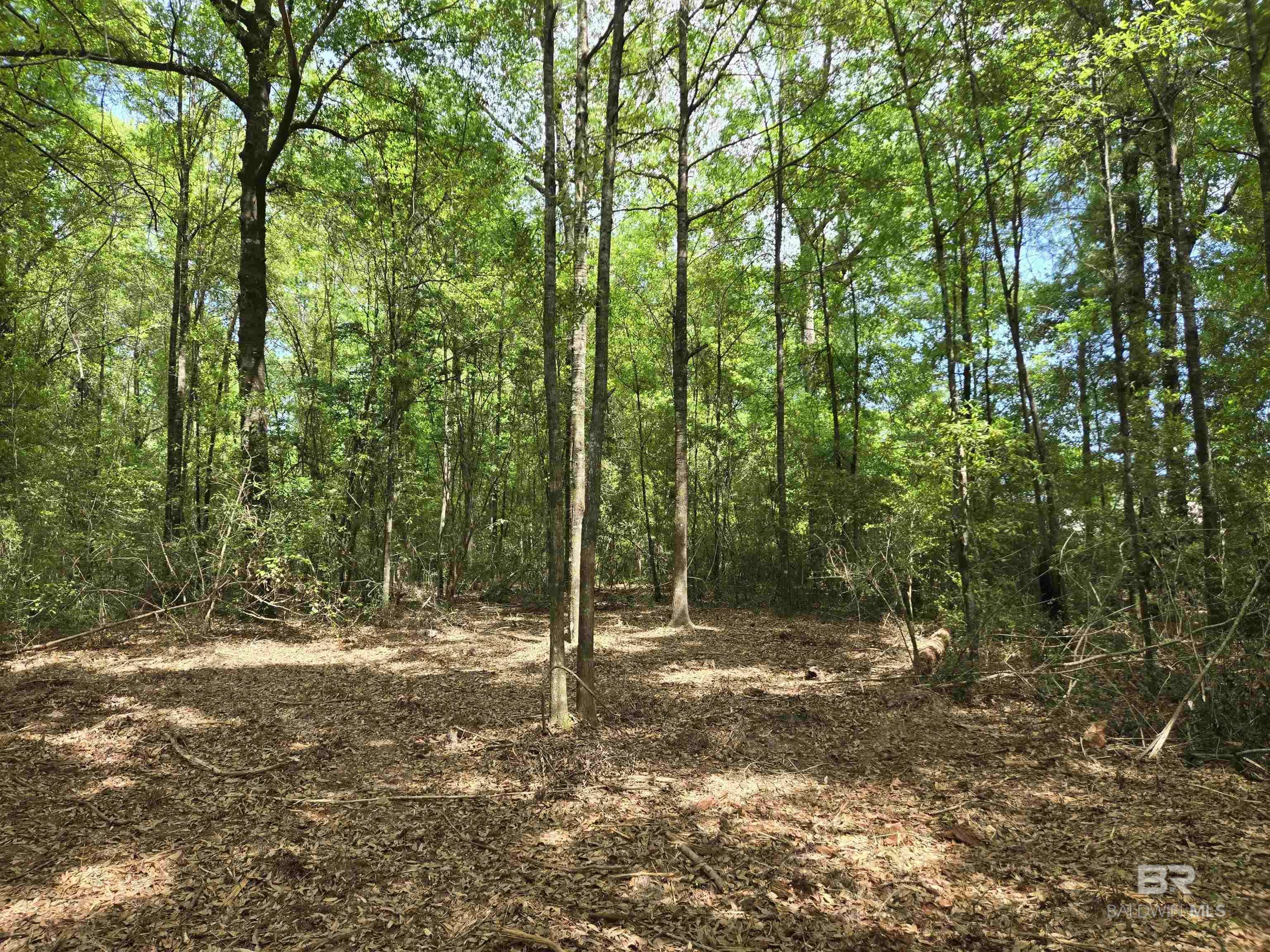 Flomaton, AL 36441,1131 Wolf Log Road