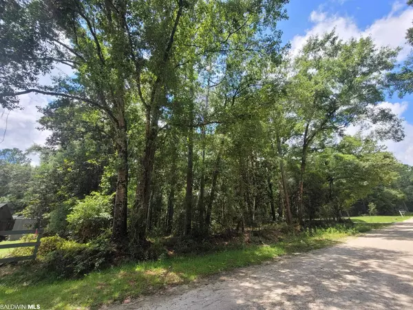 Theodore, AL 36528,0 Bream Drive