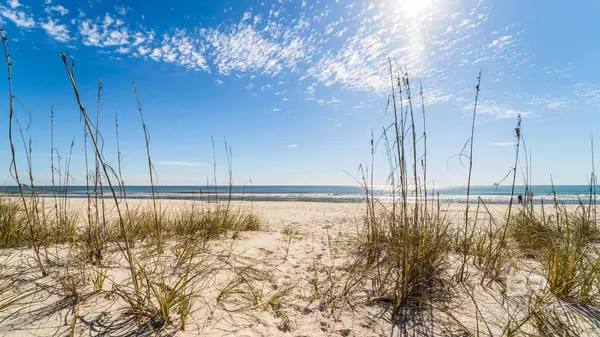 Gulf Shores, AL 36542,3830 Stafford Boulevard