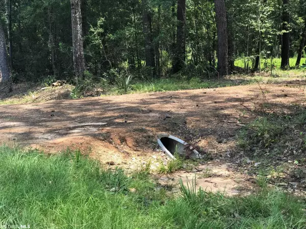 Stockton, AL 36579,10280 Old Stage Road