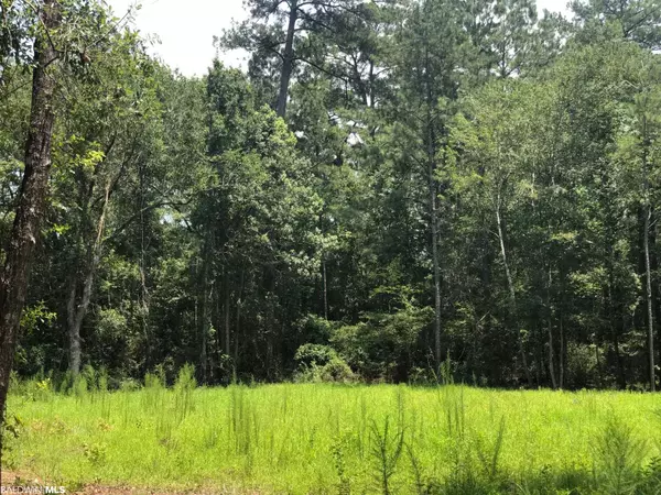 Stockton, AL 36579,10280 Old Stage Road